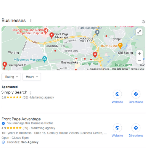 Google Local Search Results